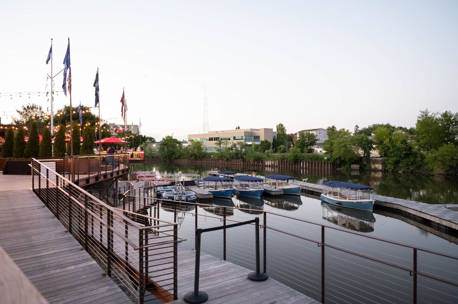Love at first bark: Chicago River cruise to double
